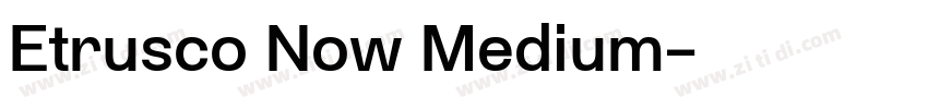 Etrusco Now Medium字体转换